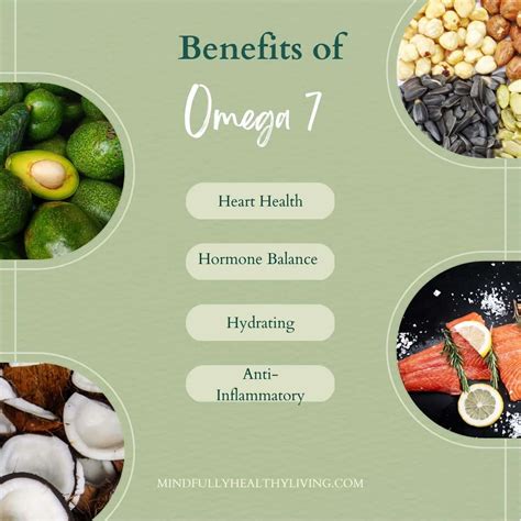 omega-7 benefits and side effects|omega 7 benefits for men.